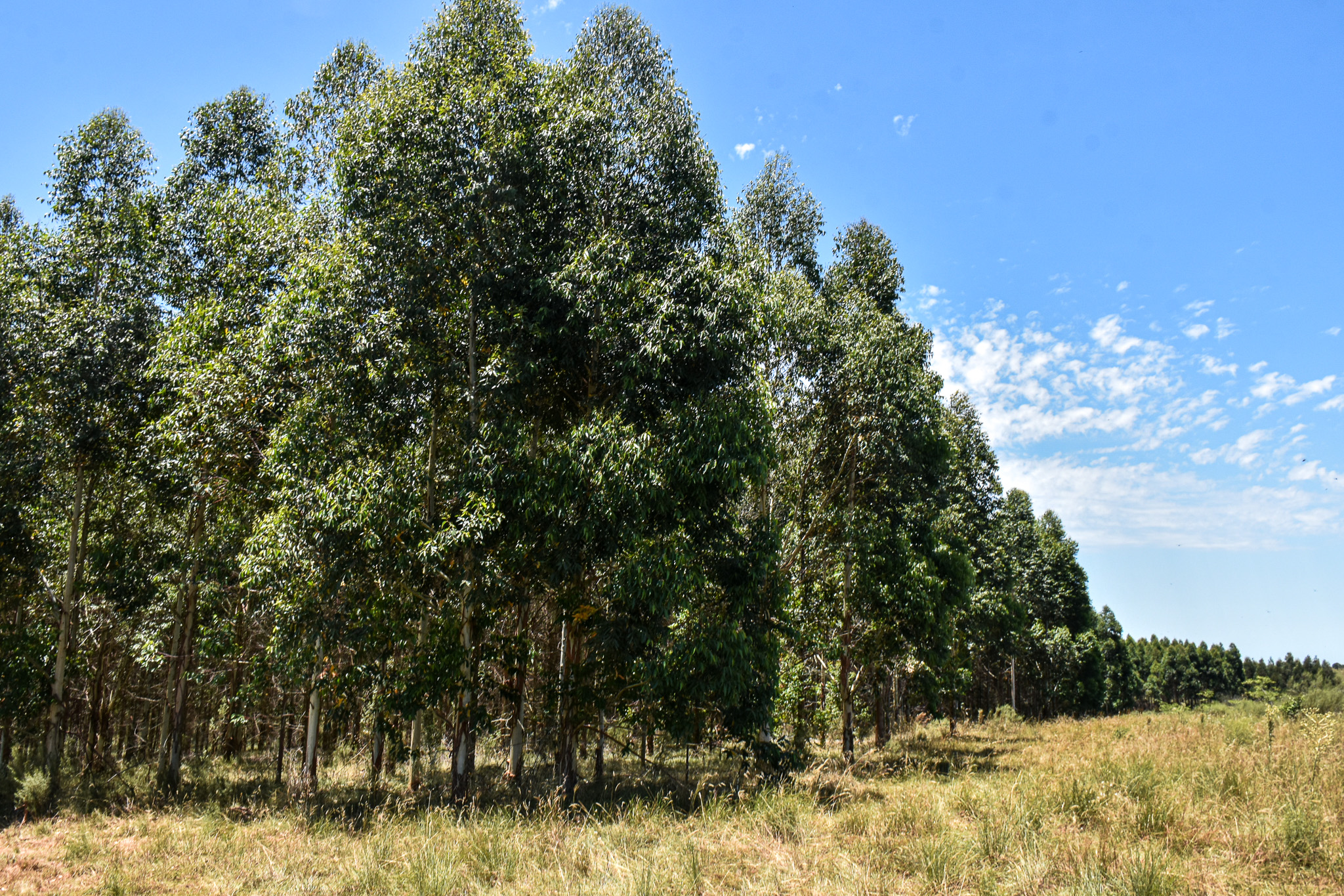 Monopol Colors pioneers of CO2 neutrality with KMU Clima Monopol Colors