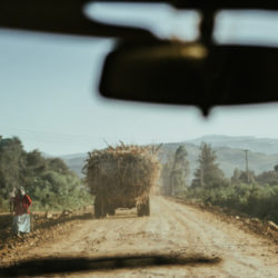 «Mit veni, vidi, vici‘ kommt man in Afrika nicht weit»